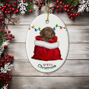 Search for chocolate lab christmas tree decorations Animal