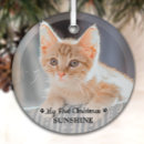 Search for kittens christmas tree decorations Pet
