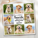 Search for loss of pet dog cards In loving memory