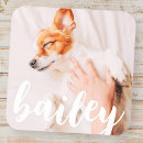 Search for merry christmas cat stickers Birthday