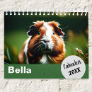 Search for guinea pig calendars Pet