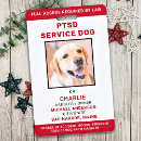 Search for red dog Service dog identification