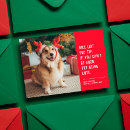 Search for canine christmas cards Cute