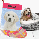 Search for dog lover christmas stockings Dogs