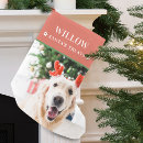 Search for dog christmas stockings Adorable