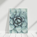 Search for succulent posters Cactus