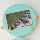 Search for funny turtle birthday cards Reptile