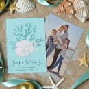 Search for sand dollar christmas cards Starfish