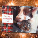 Search for lizard christmas cards Pet