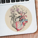 Search for vintage anatomy stickers Heart