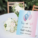 Search for baby gender reveal party decor Pink and blue