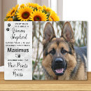 Search for german shepherd memorial In loving memory