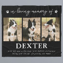 Search for pet memorial blankets Cat