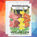 Search for snapdragon invitations Flowers