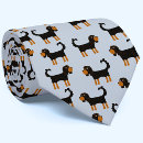 Search for cavalier king charles spaniel accessories Puppy