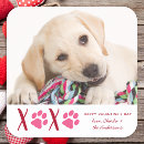 Search for valentines day puppy stickers Pet