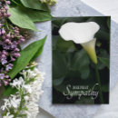 Search for white calla lily cards Botanical