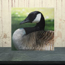 Search for goose tiles Birds