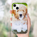 Search for dog memorial iphone cases Animal