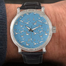 Search for birdwatcher watches Birds