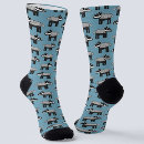 Search for squirrel socks Cartoon