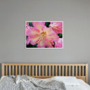 Search for rhododendron posters Nature photography