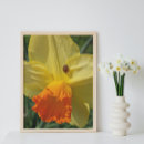 Search for bicolor posters Floral