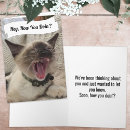 Search for yelling cards Cat