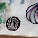 Search for sakura stickers Cat