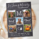 Search for pet loss invitations In loving memory