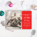 Search for funny cat christmas cards Red