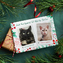 Search for nice list christmas cards Pet