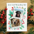 Search for nice list cards Dog