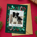 Search for puppy 1st christmas cards Pet