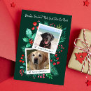 Search for nice list cards Dog