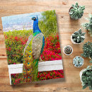 Search for peacock puzzles Bird
