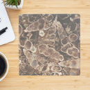 Search for fossil coasters Geology
