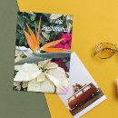 Search for bird paradise cards Botanical