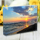 Search for christmas photo display Modern