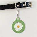 Search for daisy dog tags Flower