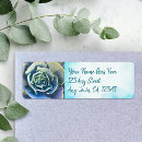 Search for cactus return address labels Botanical