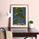 Search for bonsai posters Meditation