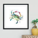 Search for blue crab posters Coastal