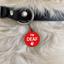 Search for deaf dog Deafness awareness
