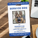 Search for service dog Simple