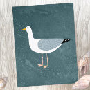 Search for gull postcards Bird