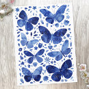 Search for butterfly postcards Wildlife