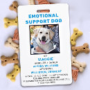 Search for emotional support animal Esa