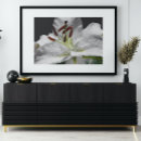 Search for white lily posters Floral