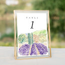 Search for field table cards Watercolor